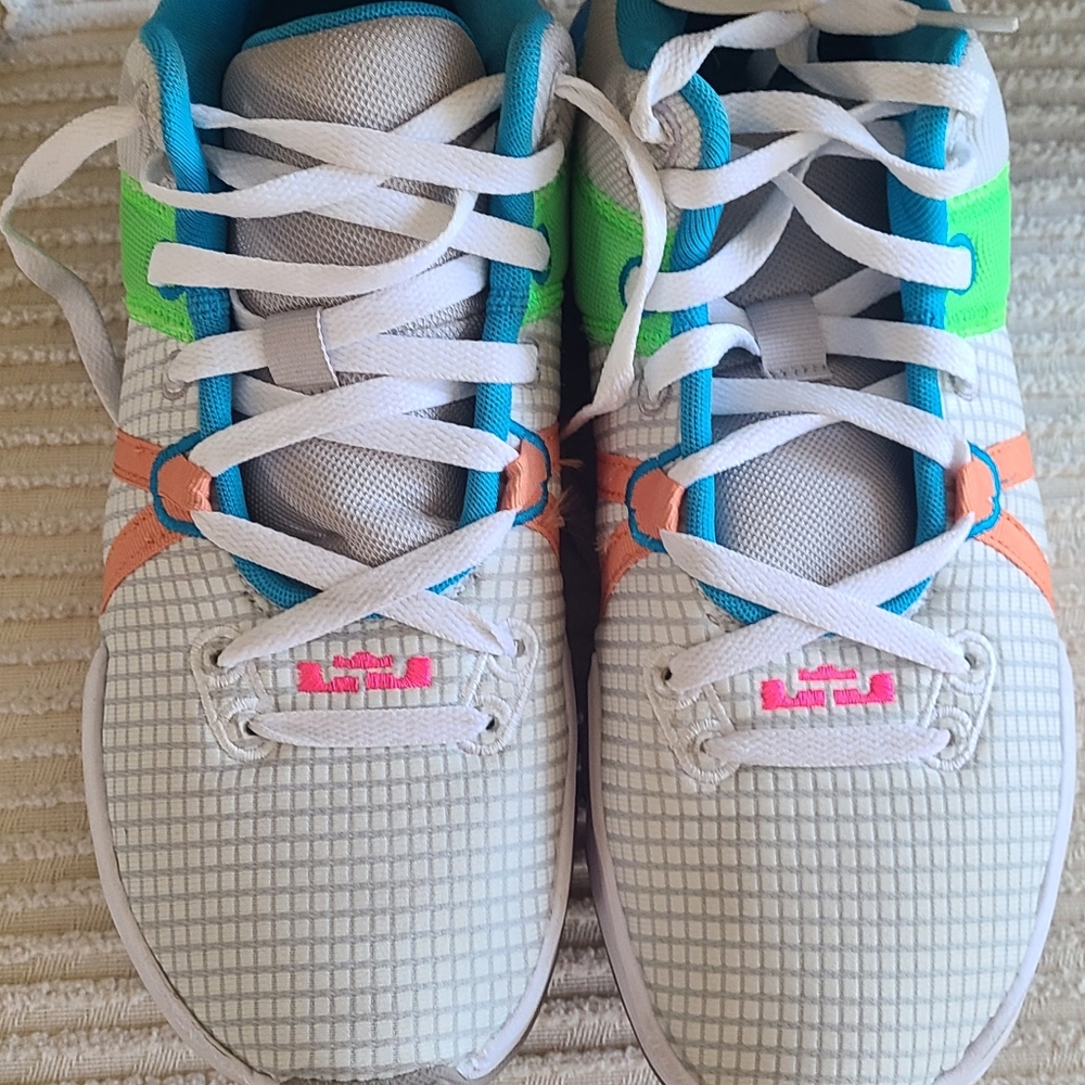 LeBron Nike Shoes